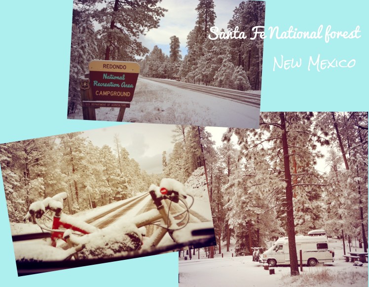 Collage_Fotor6_Fotor2